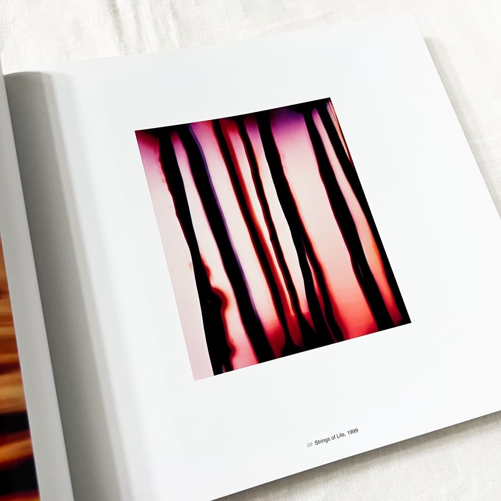 ヴォルフガング・ティルマンス, Abstract Pictures 作品集.