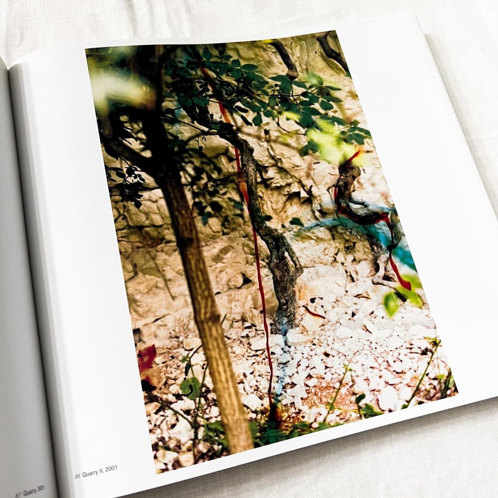 ヴォルフガング・ティルマンス, Abstract Pictures 作品集.