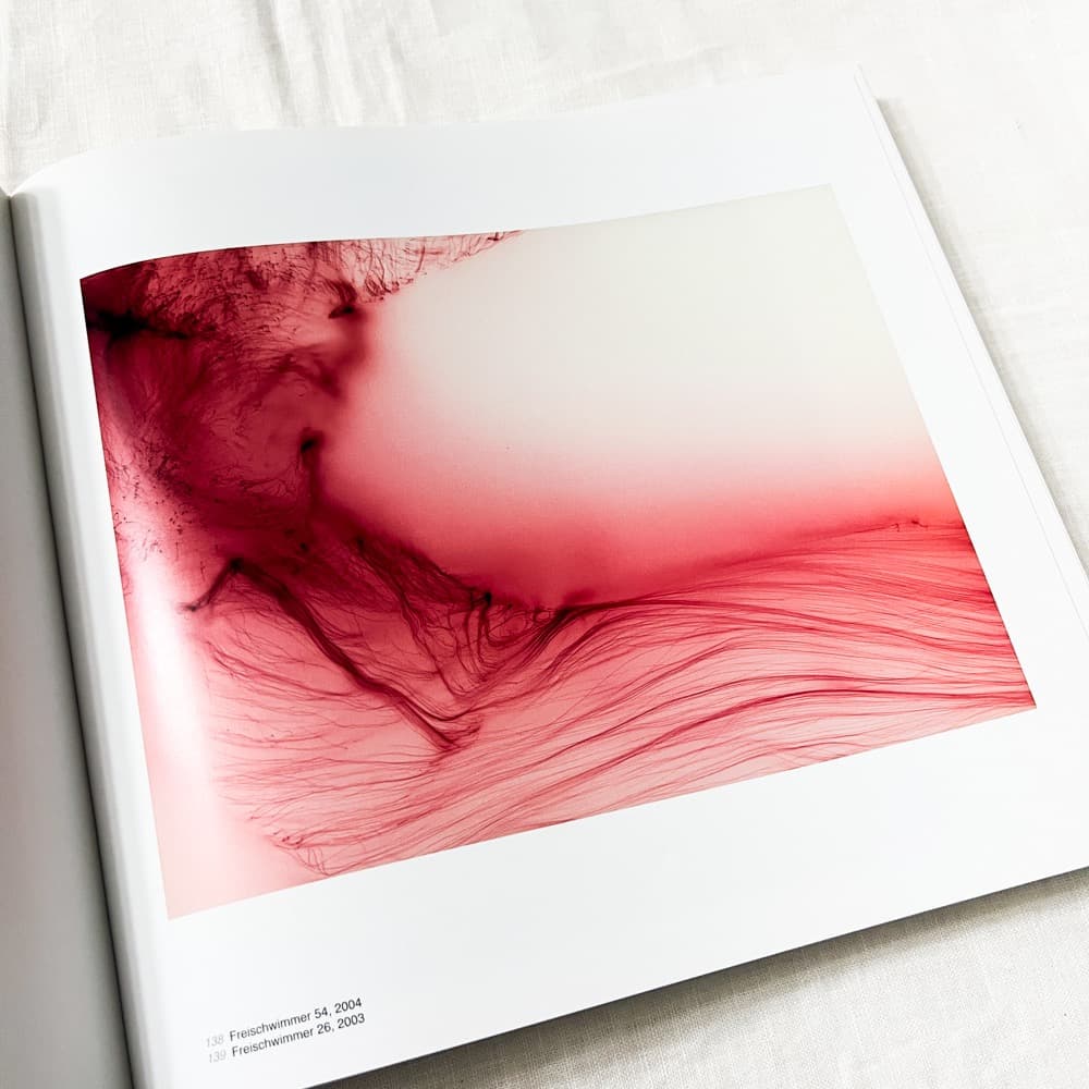 ヴォルフガング・ティルマンス, Abstract Pictures 作品集.