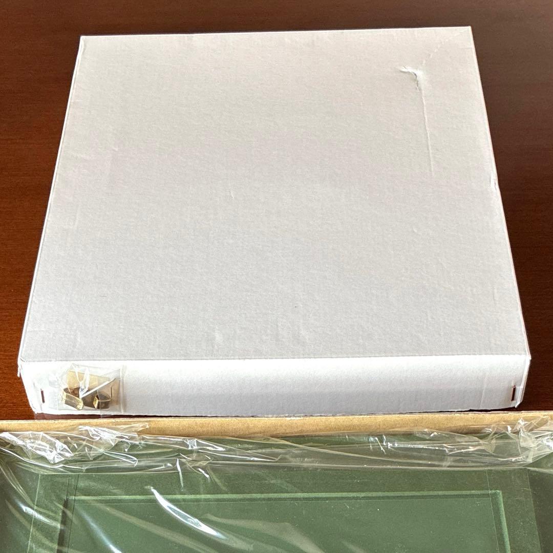 【値下げ】【美品】ゴッホ　花咲くマロニエの枝　アルゴグラフ