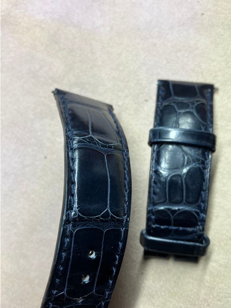 カミーユフォルネ アリゲ－タ－ 竹斑 マリーン　20mm