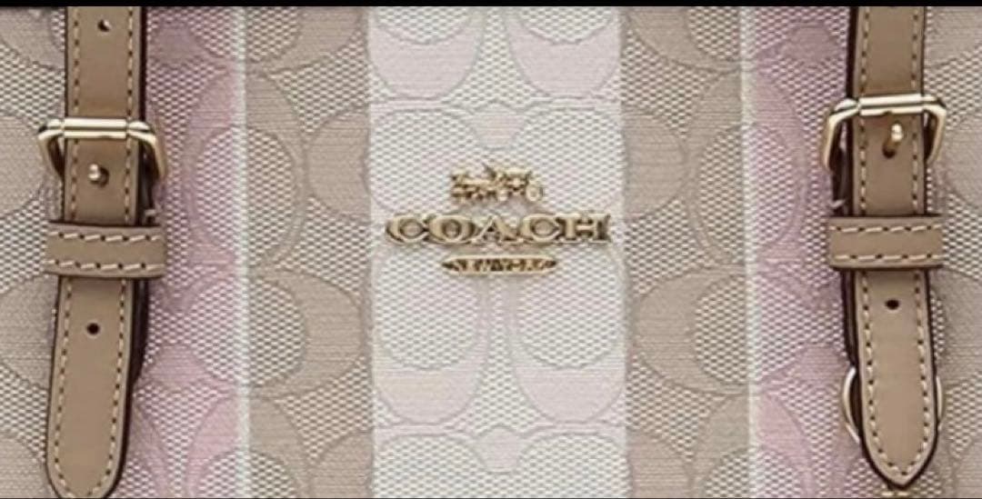 はち coach シグネチャー ジャガード キャンバスストライプバッグ