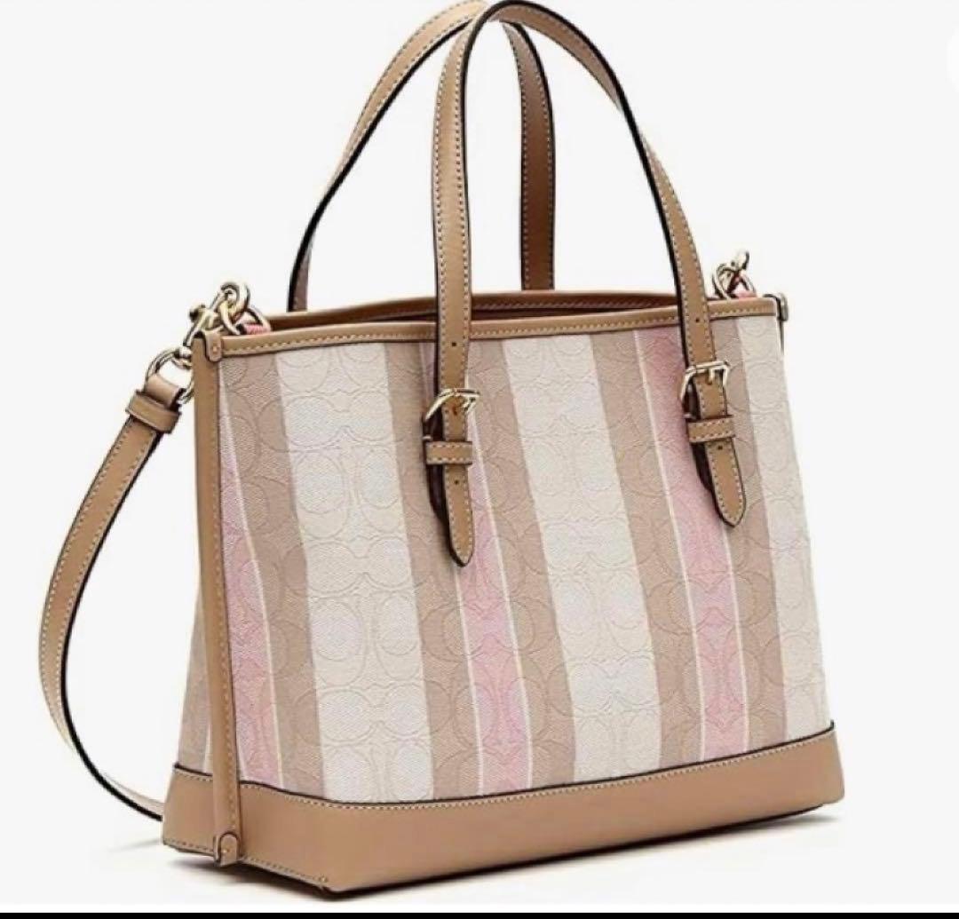 はち coach シグネチャー ジャガード キャンバスストライプバッグ