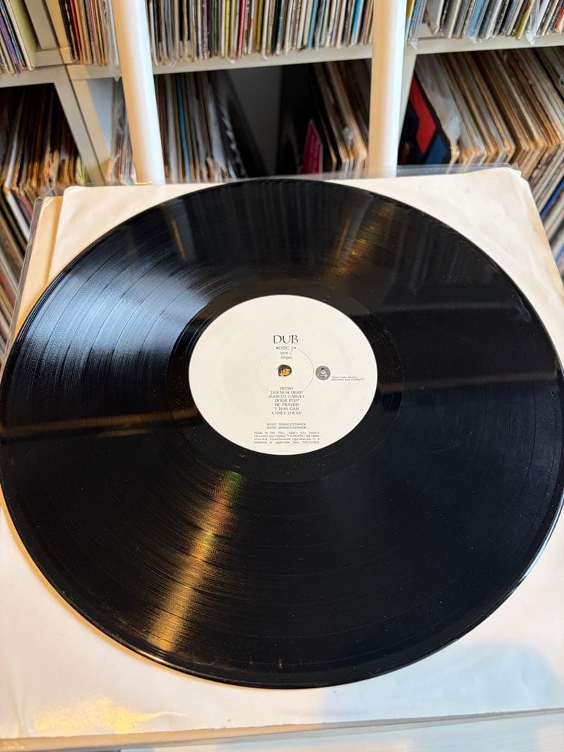 激レア Sinéad O'Connor レコード(2LP)