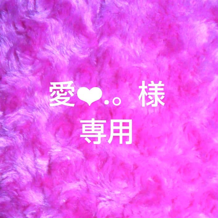 《愛❤︎.。》エコクラフトバンド かごバック ５点