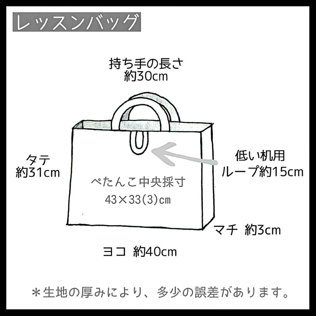 レッスンバッグ 上履き入れ 体操服入れ 巾着袋 セット 入学 入園 男の子 蛍光