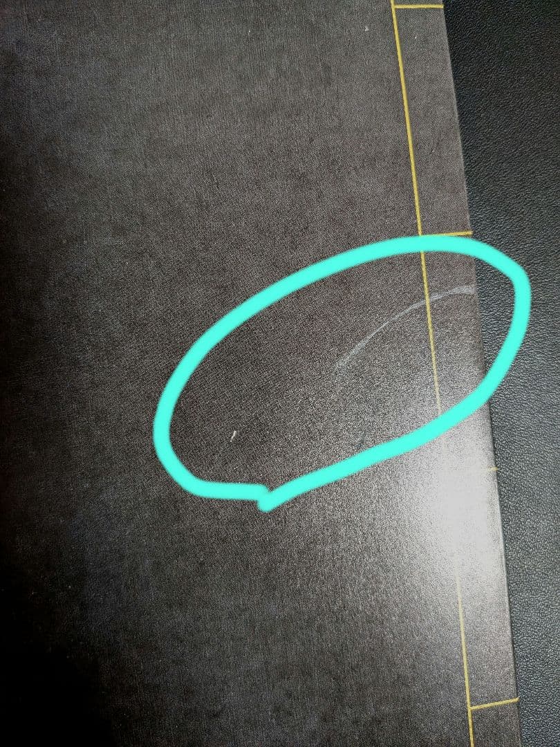 【特装版限定小冊子1-8巻 】二哈和他的白猫師尊 （日本語版）