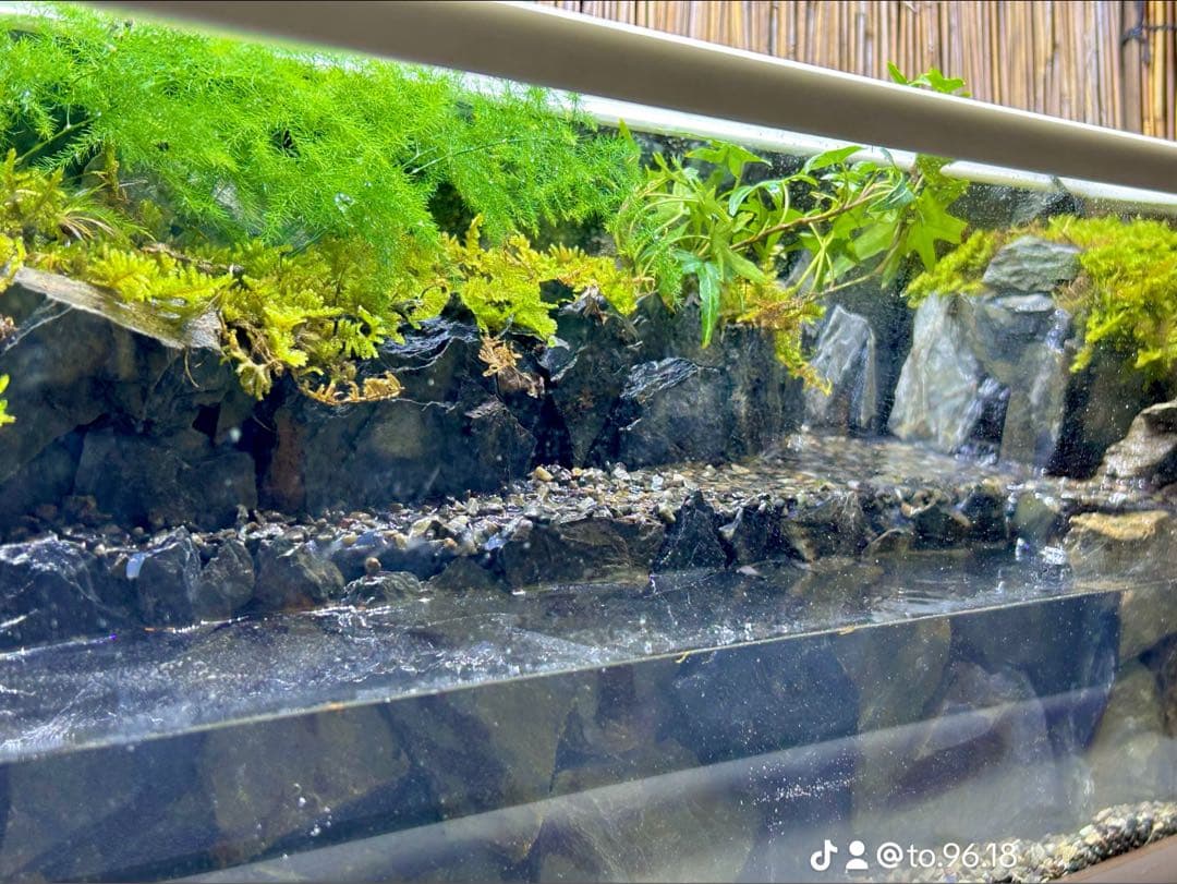 水の流れる滝テラリウム水槽
