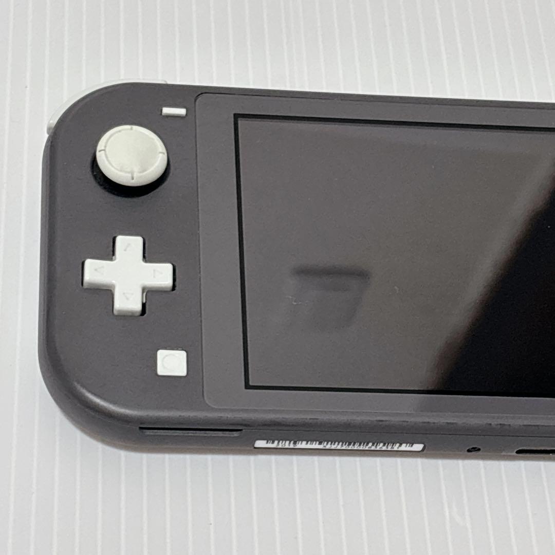 Nintendo switch ライト 本体 ゲーム ニンテンドー　動作品