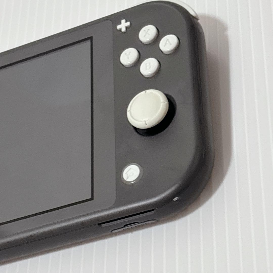 Nintendo switch ライト 本体 ゲーム ニンテンドー　動作品