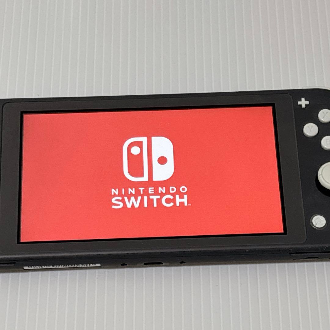 Nintendo switch ライト 本体 ゲーム ニンテンドー　動作品