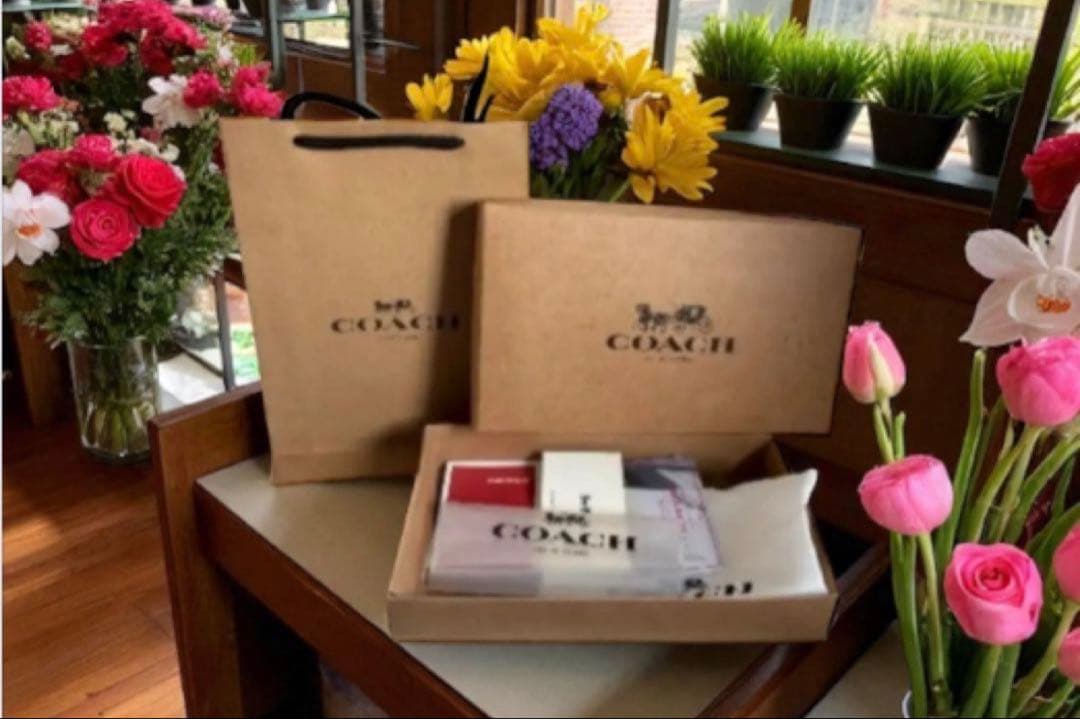 COACH 長財布ブラウン/レッド新品