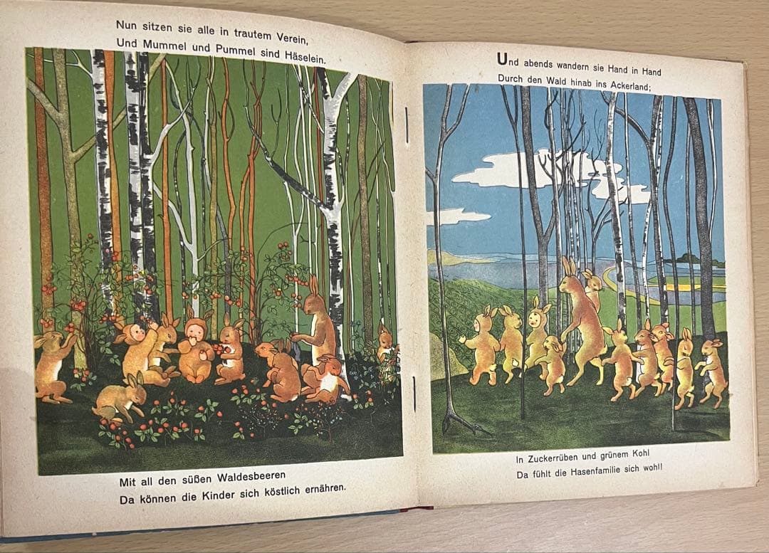 NO.339 超希少 古書 アンティーク 洋書 ドイツ 絵本