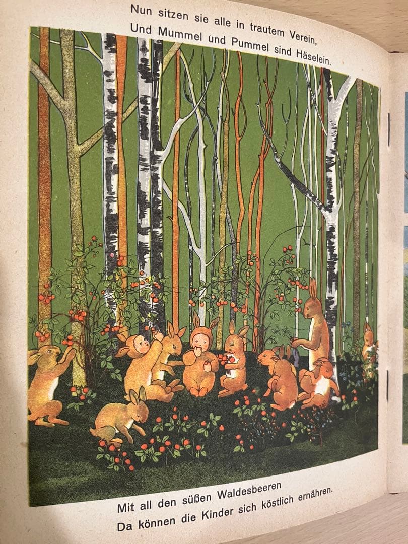 NO.339 超希少 古書 アンティーク 洋書 ドイツ 絵本