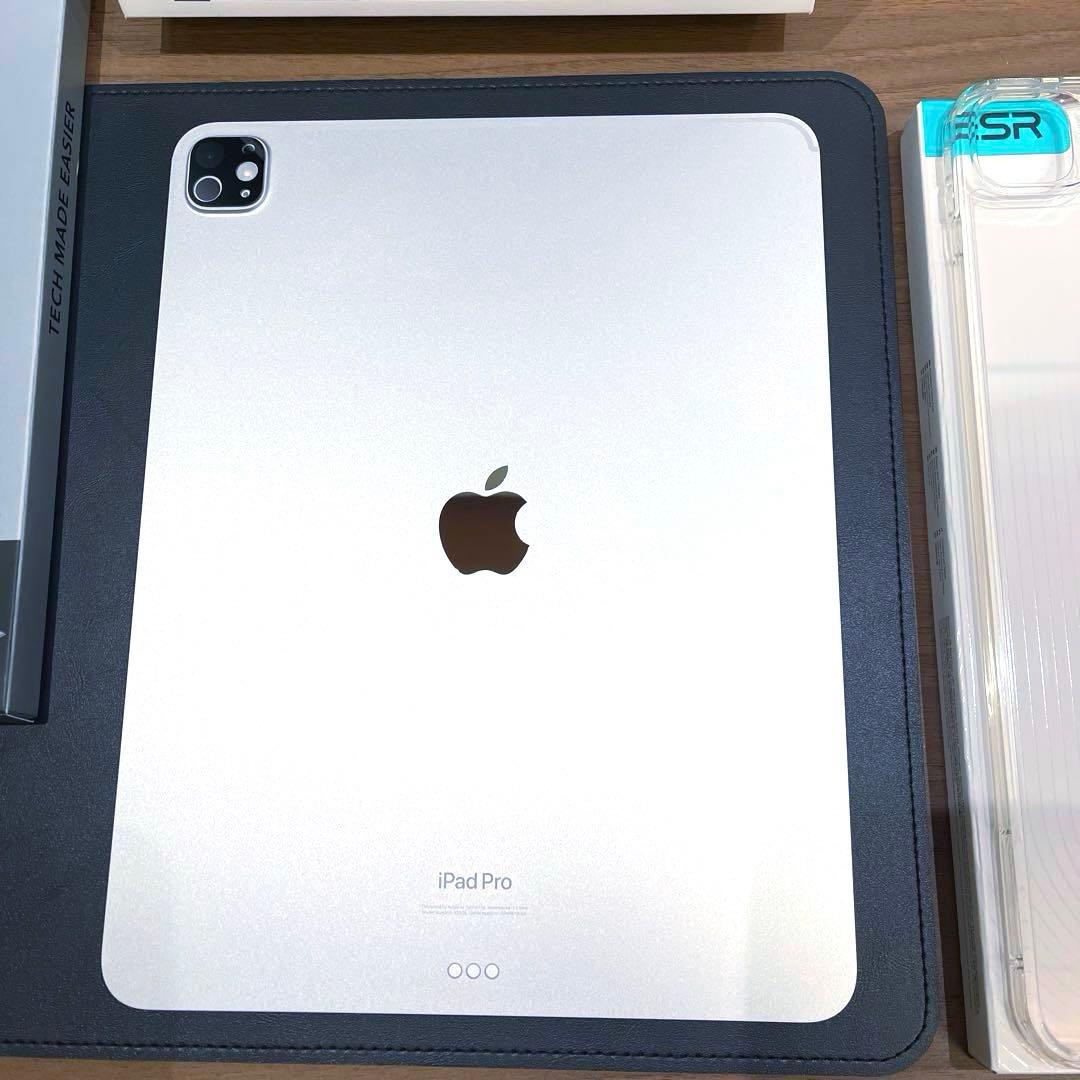 iPad Pro M4 13インチ　256GB Wi-Fiモデル　シルバー