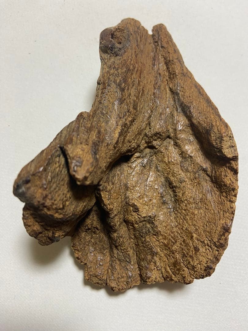 古渡沈香木　極上沈水黒タニ60g