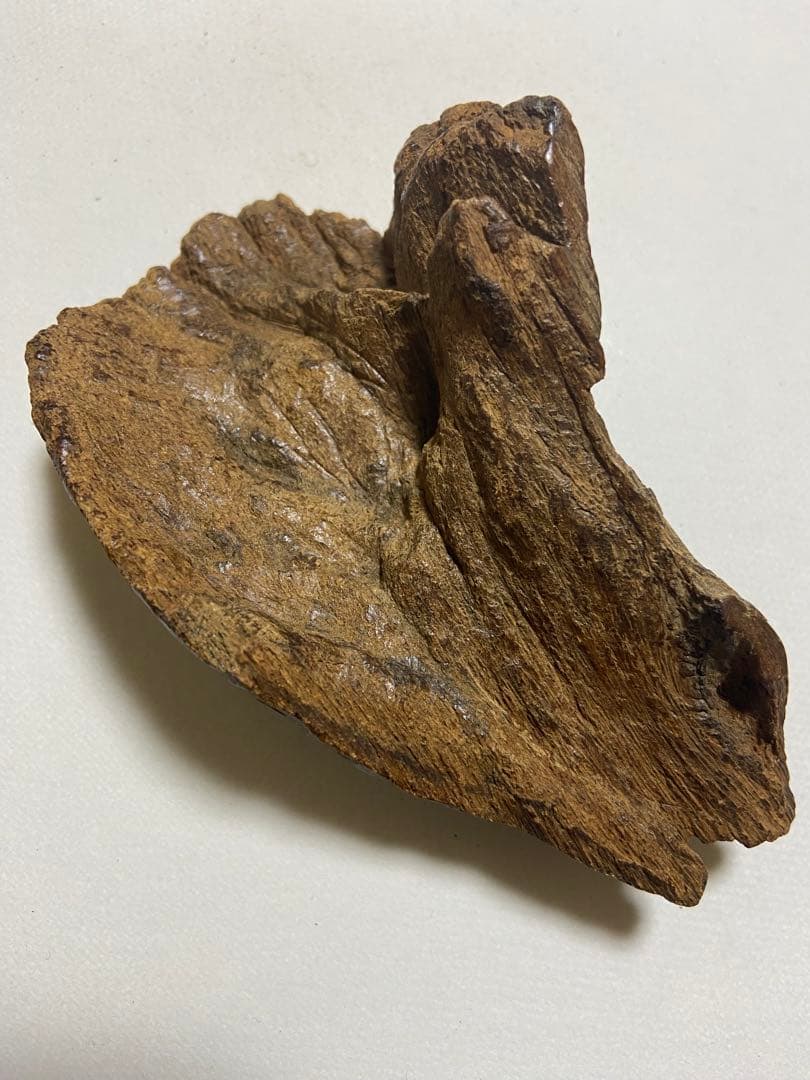 古渡沈香木　極上沈水黒タニ60g