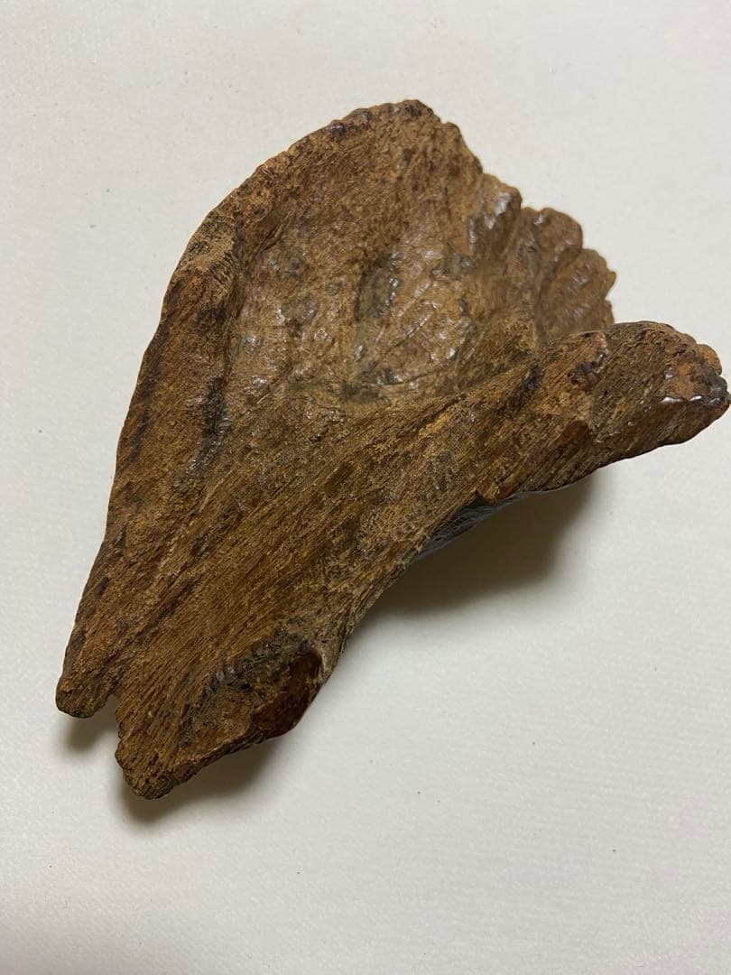 古渡沈香木　極上沈水黒タニ60g