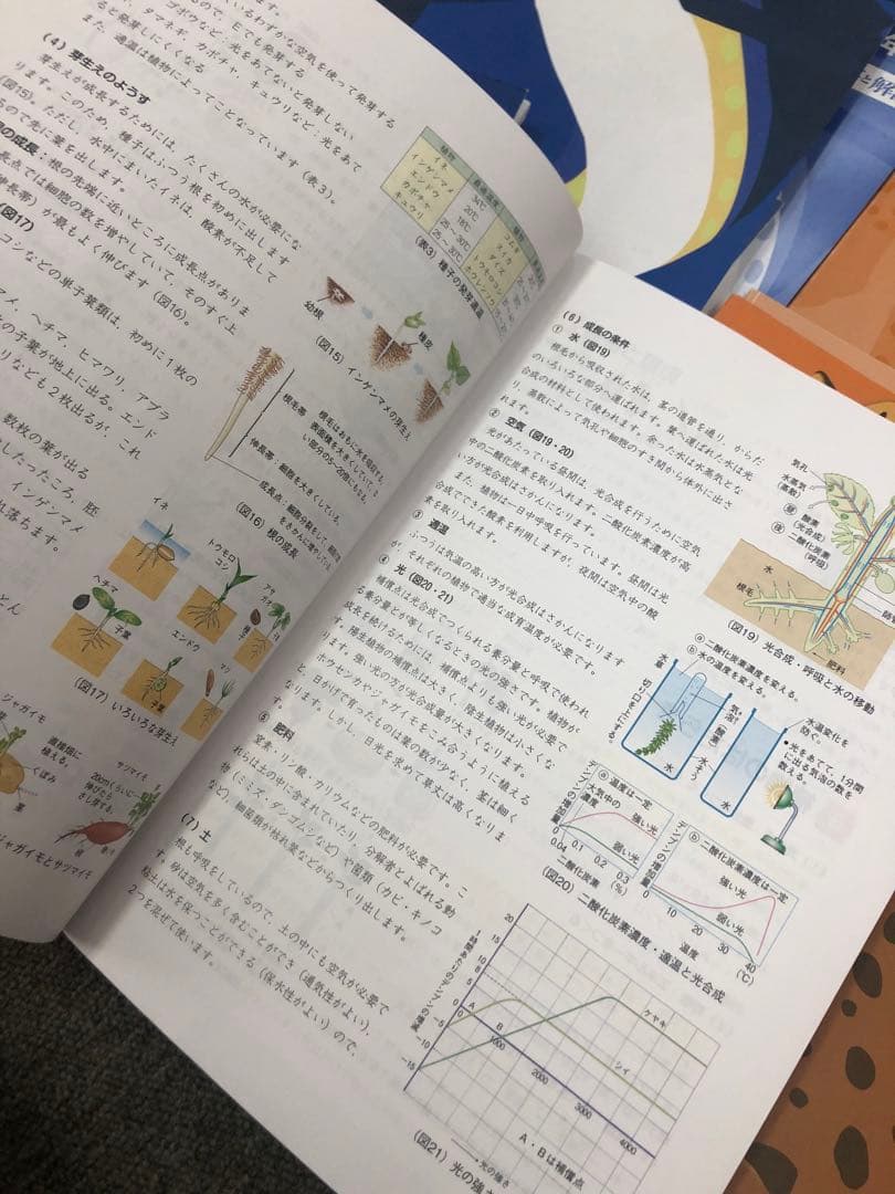 四谷大塚6年　予習シリーズ国算理社　上下　有名校対策　2024年使用 中古