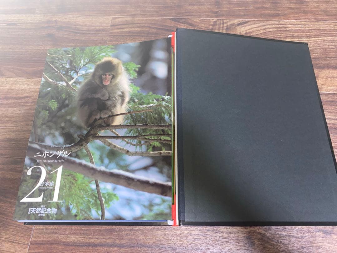 週刊 日本の天然記念物 動物編 全50巻＋フィギュア