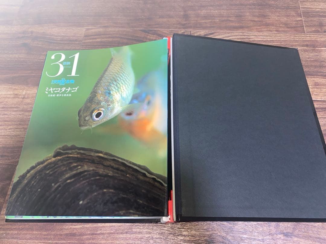 週刊 日本の天然記念物 動物編 全50巻＋フィギュア