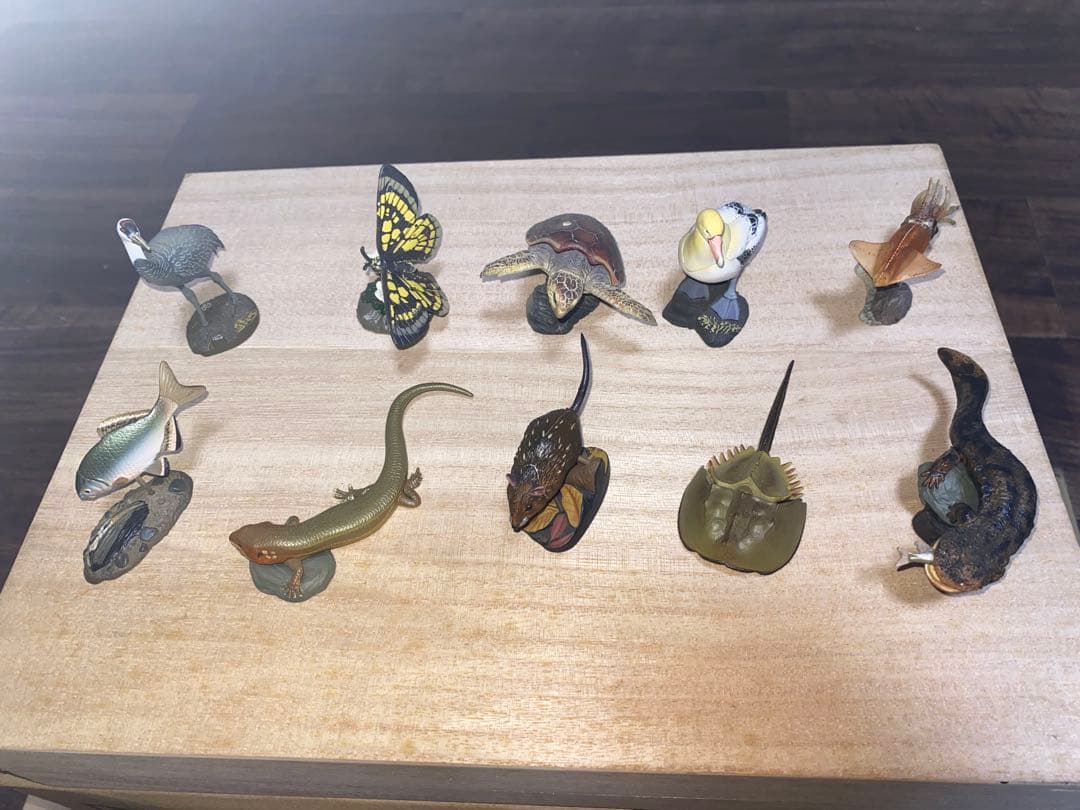 週刊 日本の天然記念物 動物編 全50巻＋フィギュア