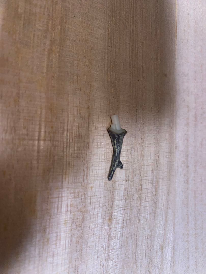 週刊 日本の天然記念物 動物編 全50巻＋フィギュア