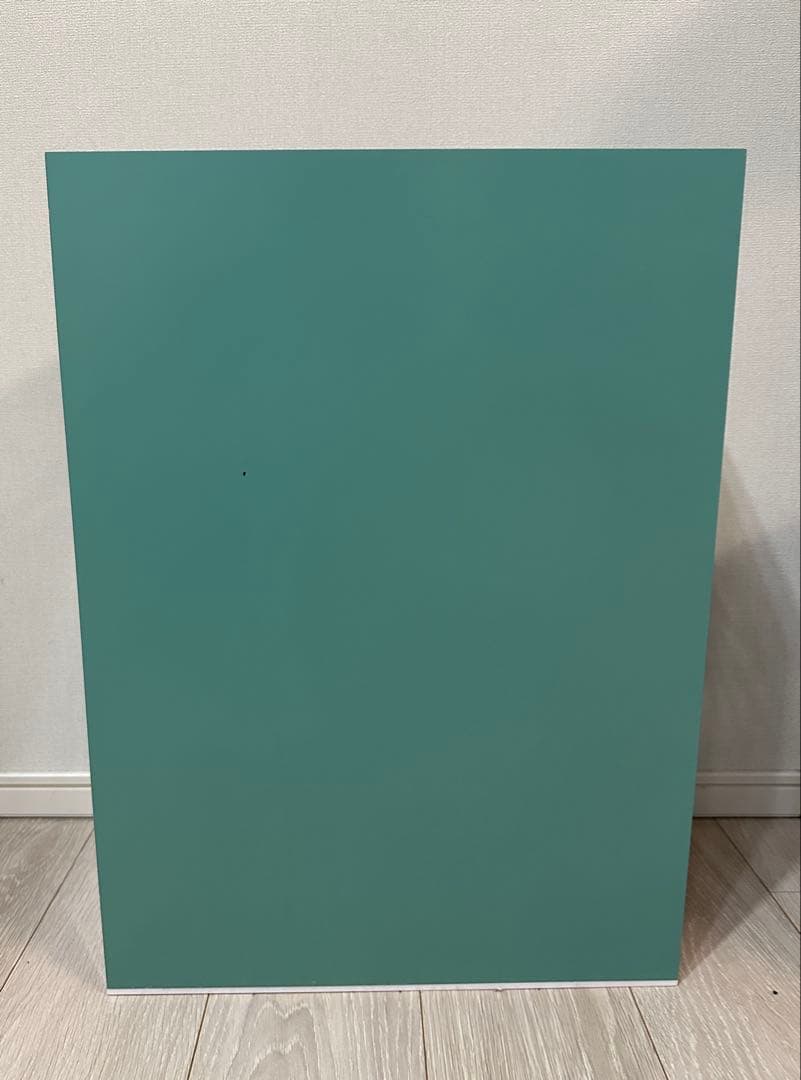 BLACKFLYS ブラックフライ サングラス ショーケース ディスプレイケース