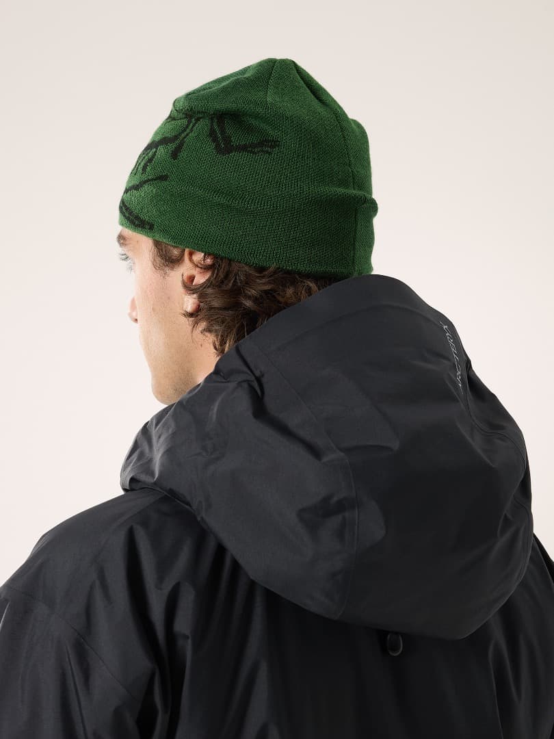 ARC'TERYX Bird Head Toque バード ヘッド トーク