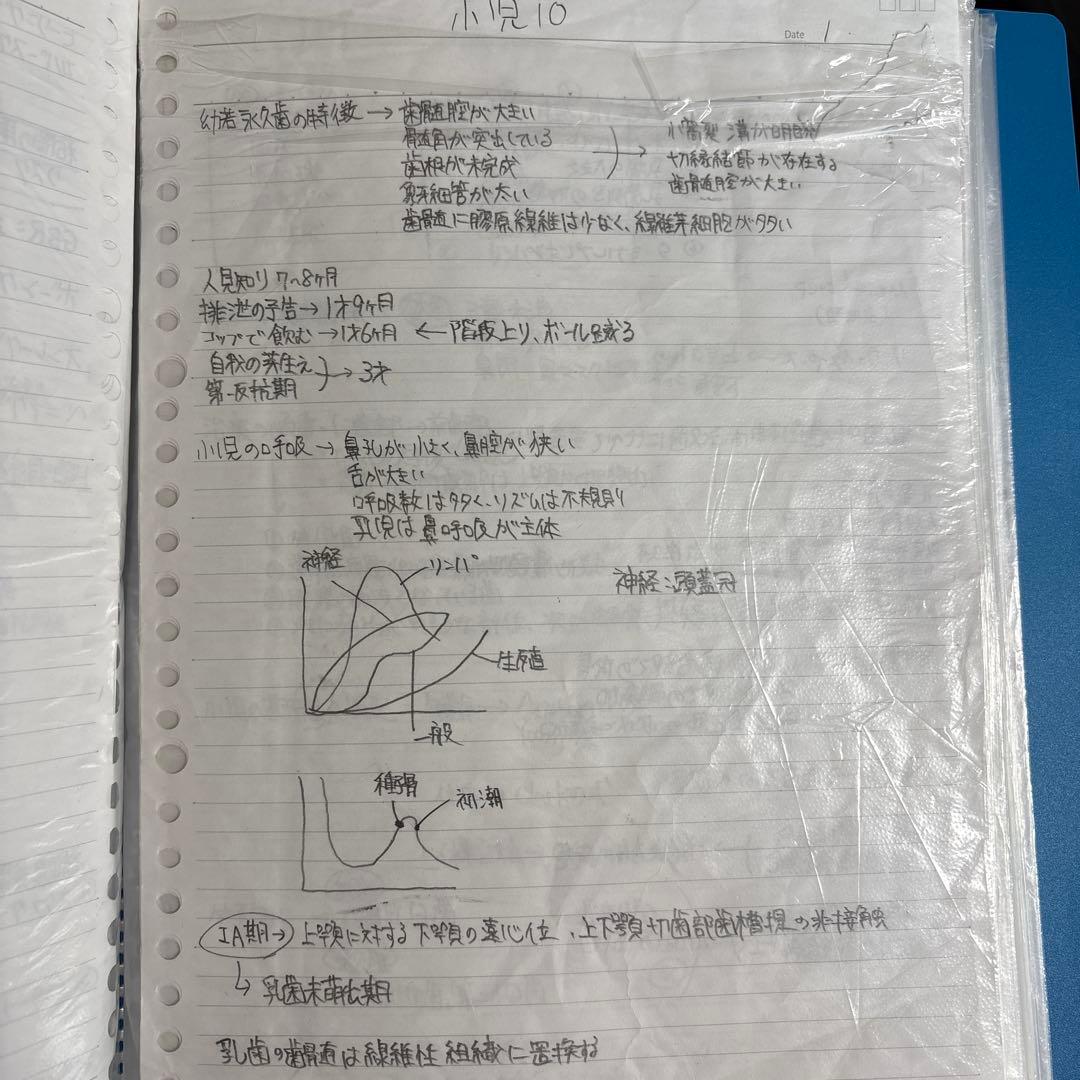 歯科大学まとめノート、資料