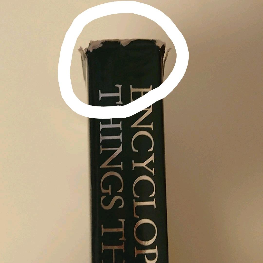 【貴重！】想像と幻想の不思議な世界