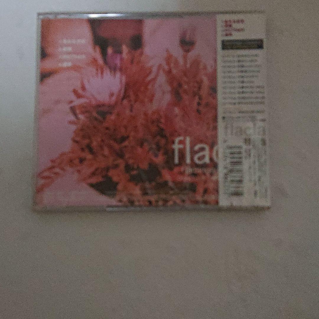 flamingo classics/名もなき花