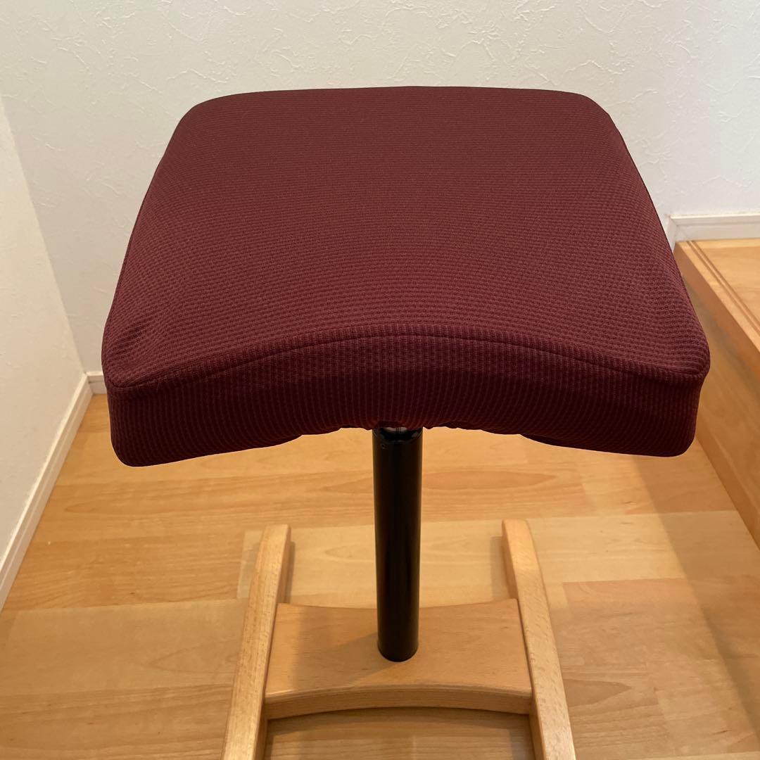 Balans Synergy バランスシナジー　スクエアシート　専用カバー付