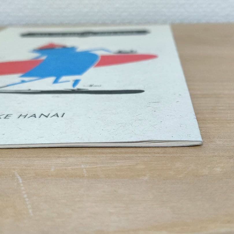 【100部限定】花井祐介 ZINE ☆ Yusuke Hanai アートブック