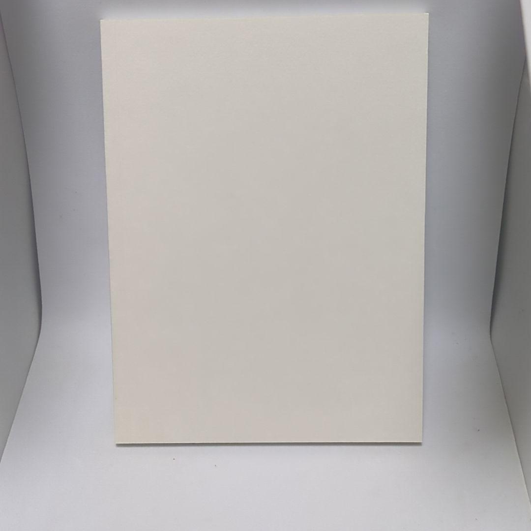 Blu-ray 羅小黒戦記 ぼくが選ぶ未来 完全生産限定版