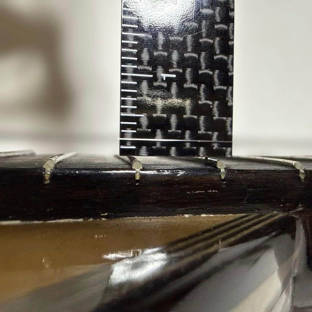 石川捷二郎監修 Venezia マンドリン M-50 ハードケース付