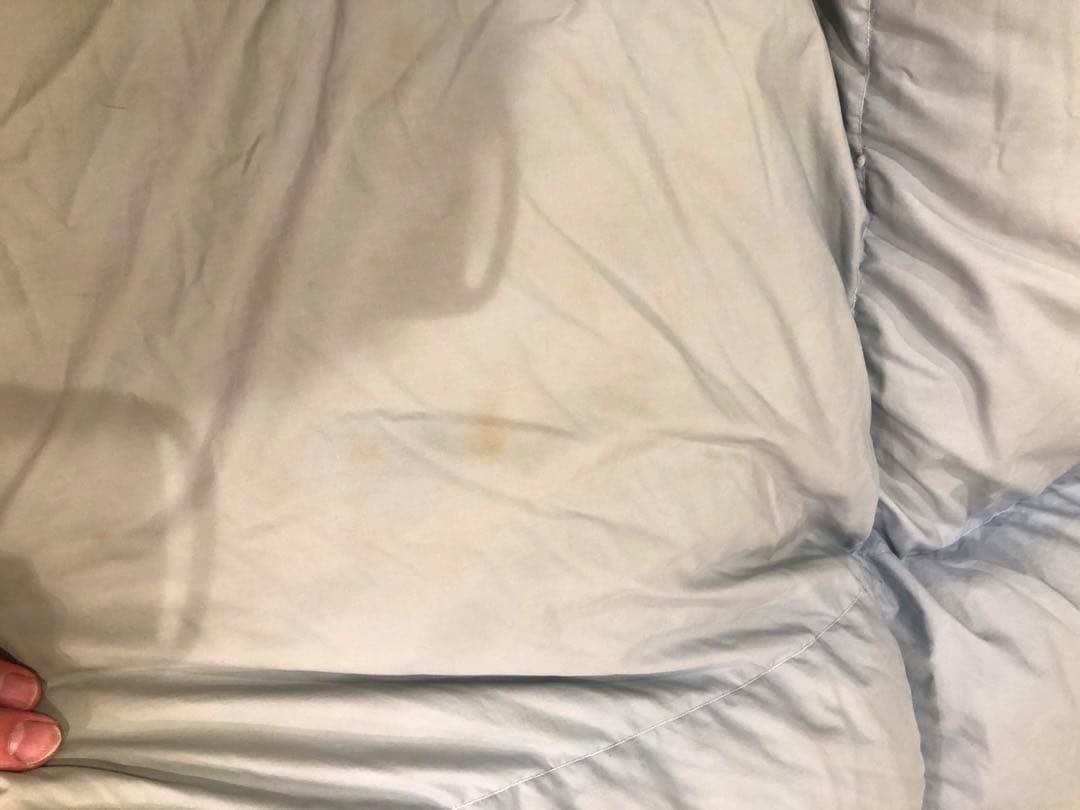 大阪西川　グースダウン（手詰み）90%以上 超長綿100%