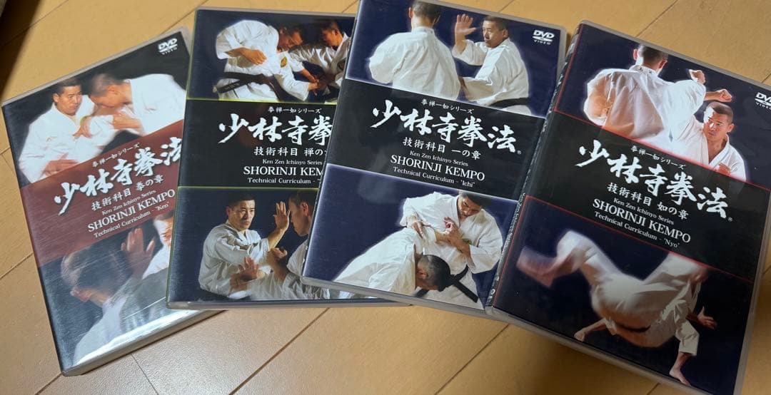 少林寺拳法 技術科目 拳禅一如 DVD レア