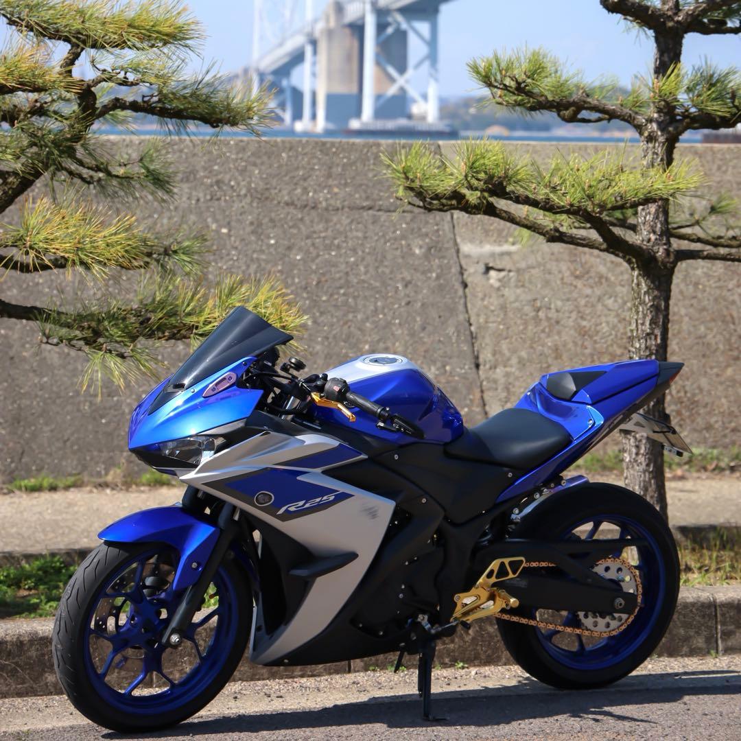 YZF-R25 シングルシートカウル 純正 ワイズギア