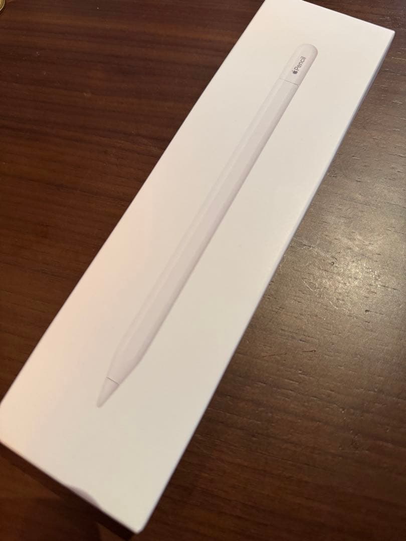 iPadアクセサリー Apple Pencil(USB-C)