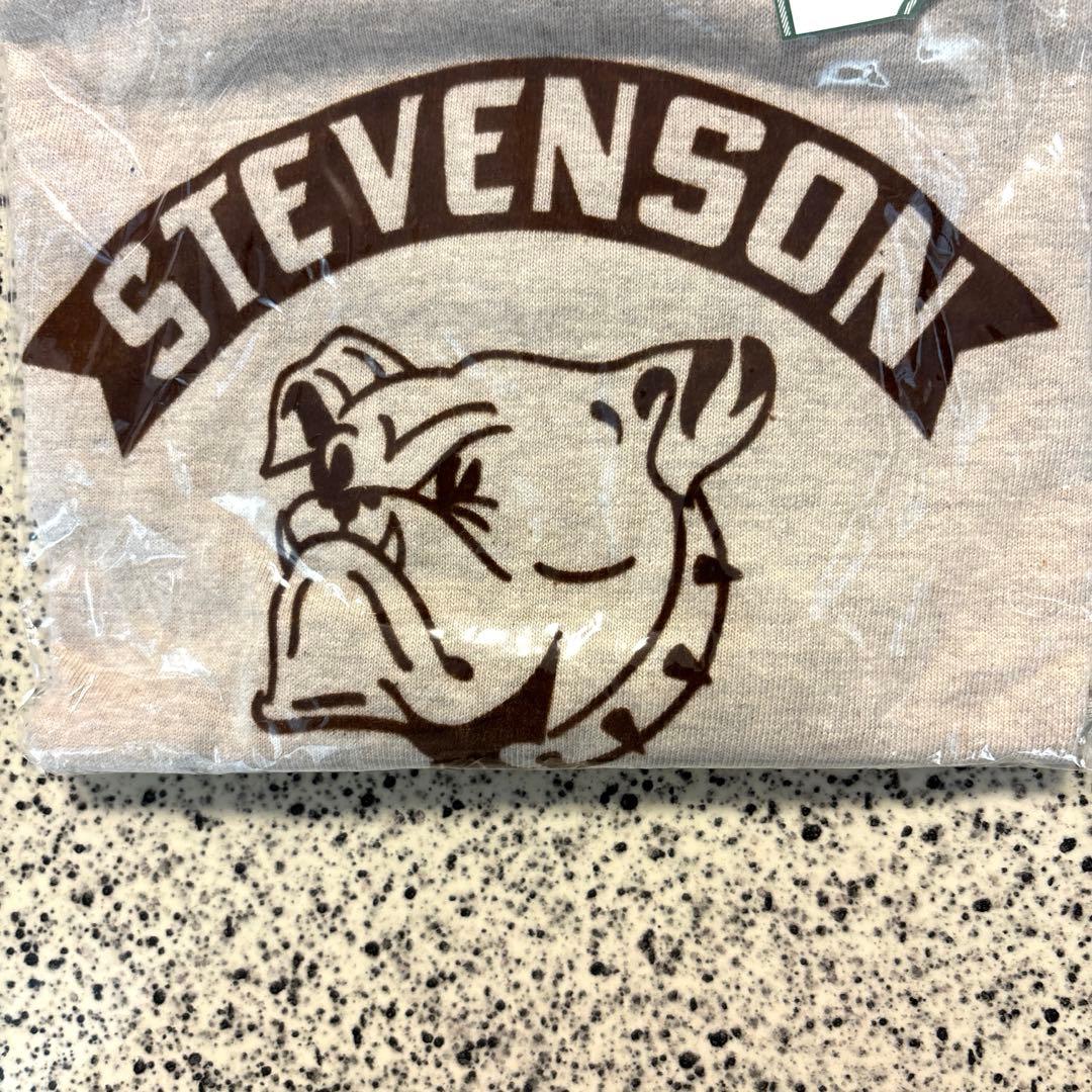 ウエアハウス ４６０1 『ＳＴＥＶＥＮＳＯＮ』 オートミール ＸＬサイズ