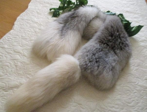 Sale❣️Saga Furs プラチナFox 一匹もの ストール 未使用