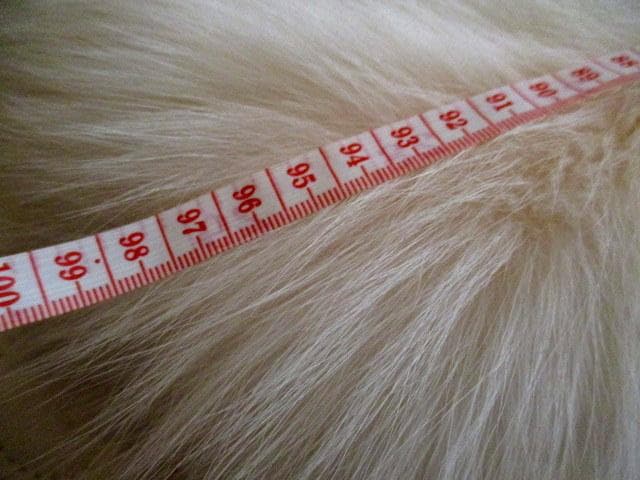 Sale❣️Saga Furs プラチナFox 一匹もの ストール 未使用