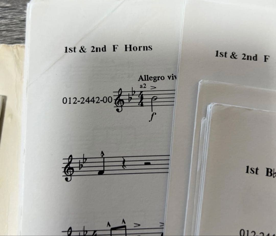 最終値下げ　スウェアリンジェン　不滅の光