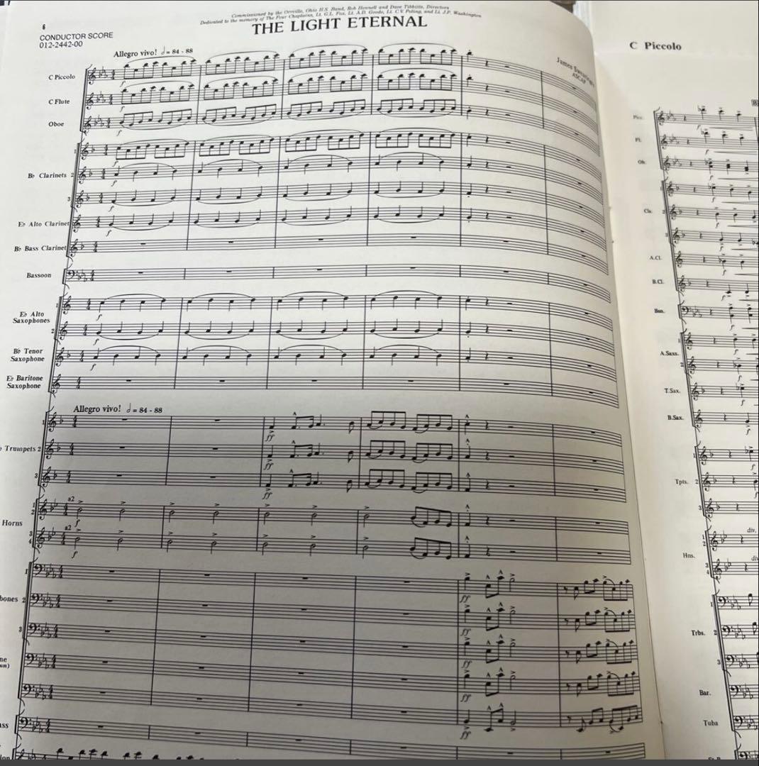 最終値下げ　スウェアリンジェン　不滅の光