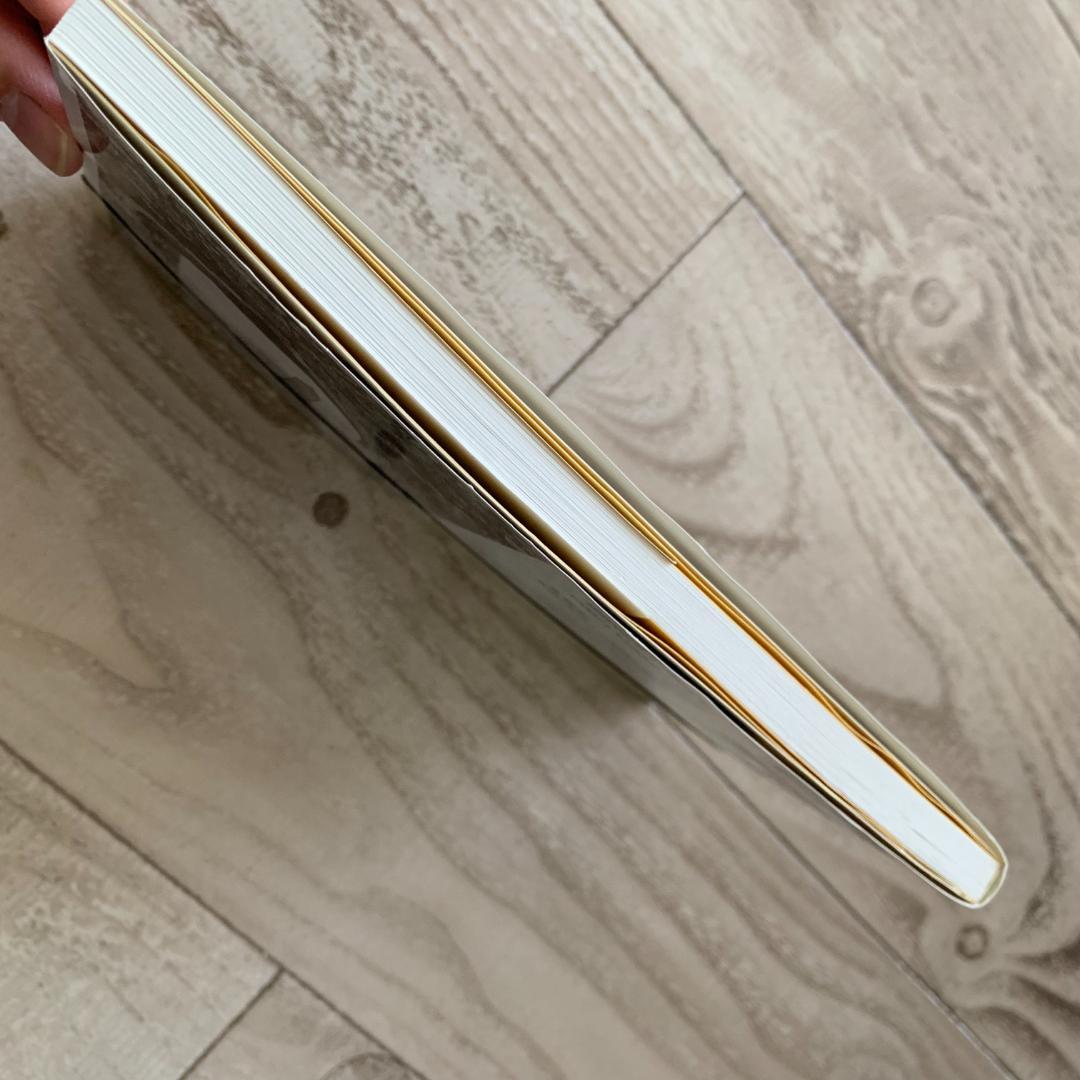 【サイン＋チラシ付き！】旅するペン画 心に沁みる風景を求めて