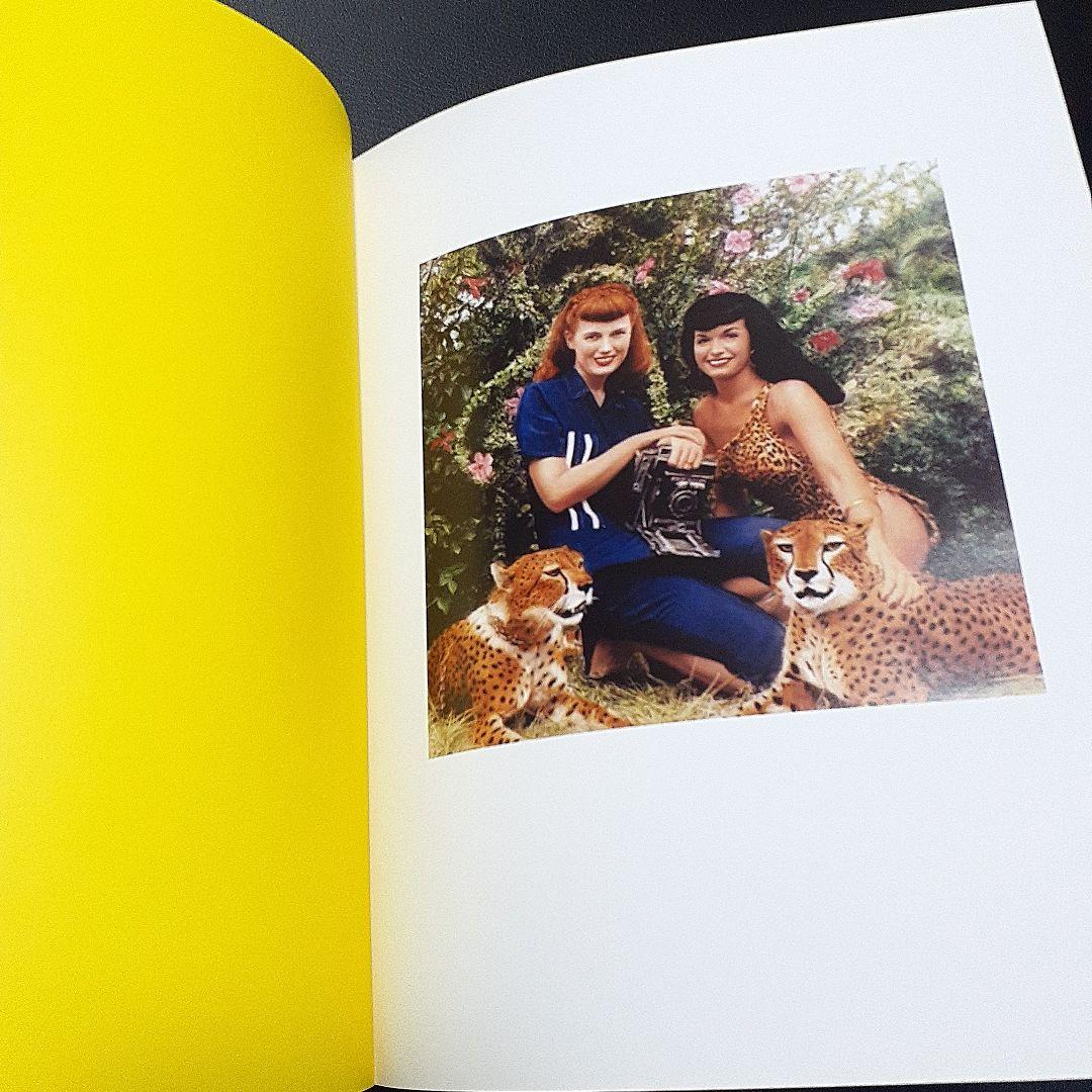 Bettie Page: Queen of Curves ベティペイジ