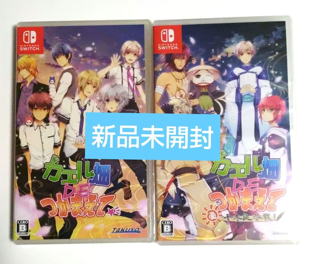 新品◆カエル畑DEつかまえて　本編　FD　2本セット　Switch　夏　千木良