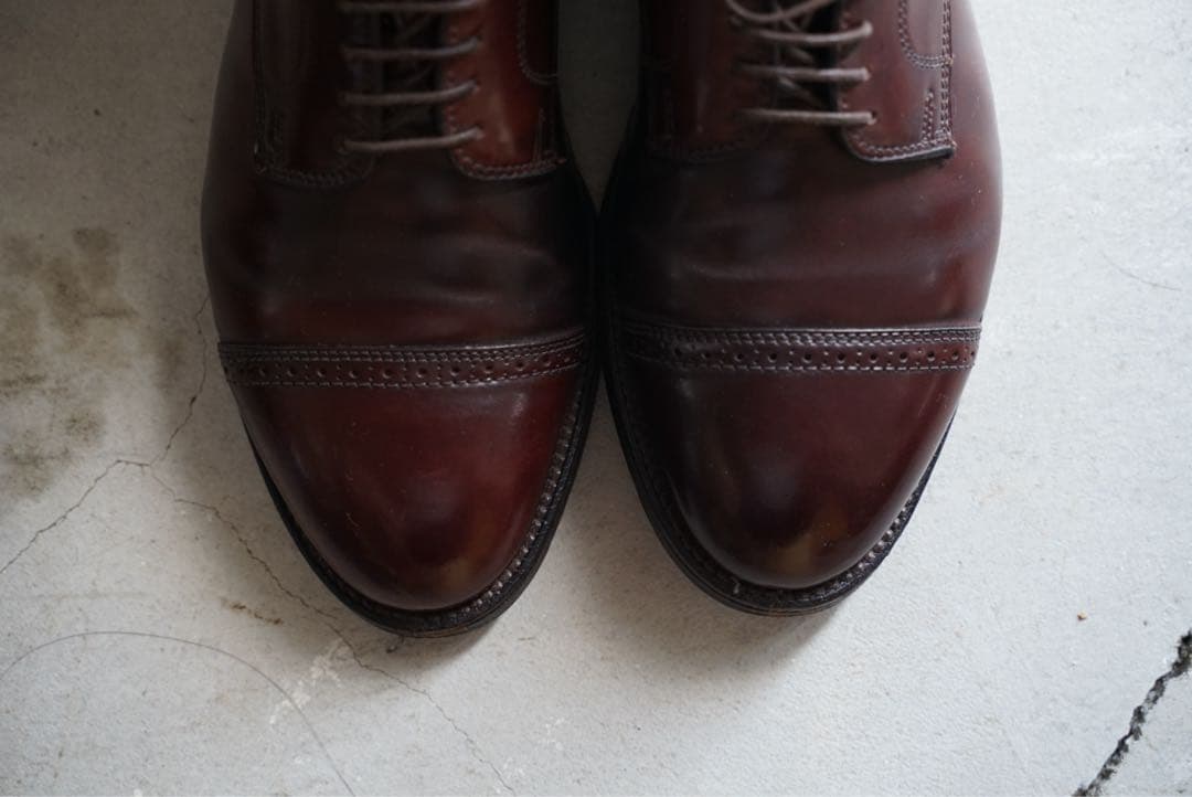 コウタ　モディファイドラスト　バーガンディ