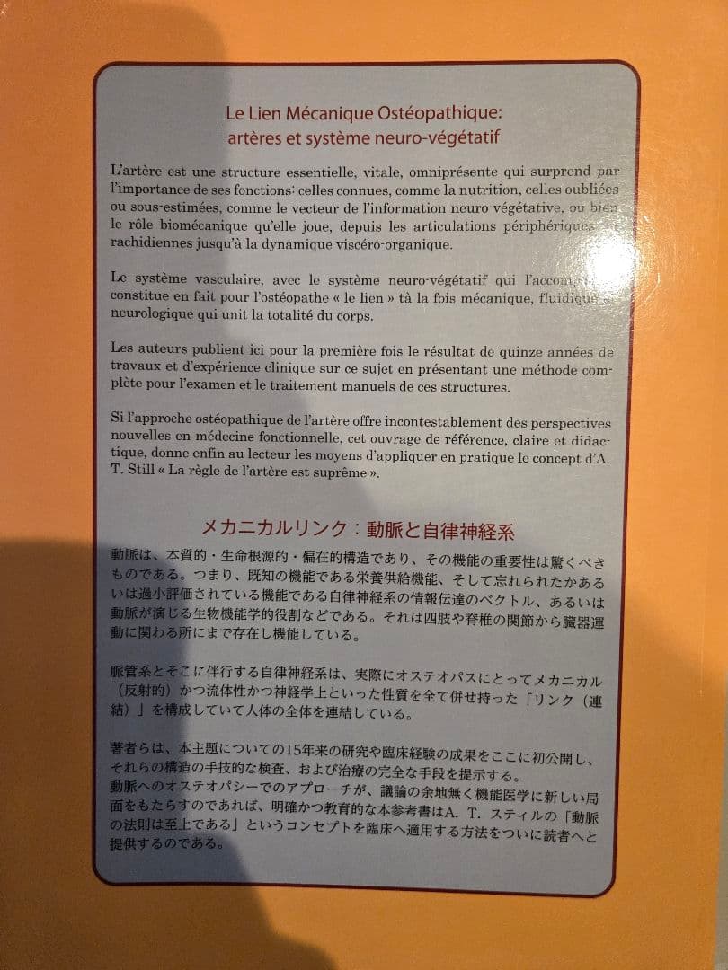 Le Lien Mécanique Ostéopathique
